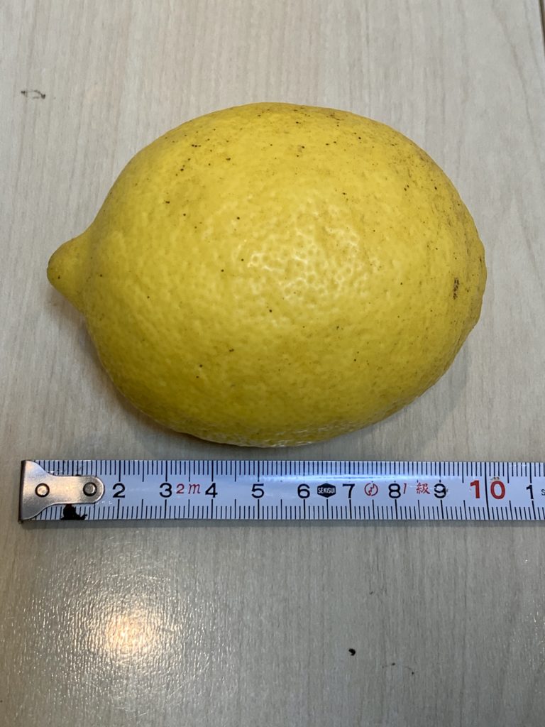 大きいレモン
